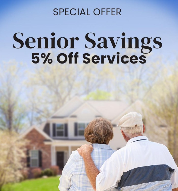 Senior Savings offer on Dixon Painting's Services in Atlanta, GA
